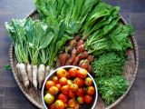 Jual Sayur Organik Online