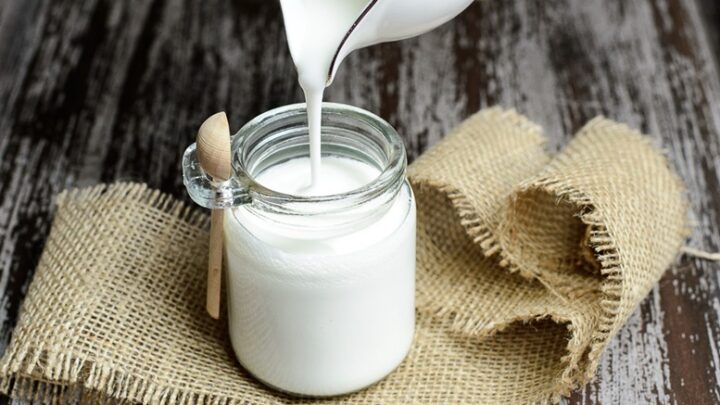 Susu Diet Low Fat