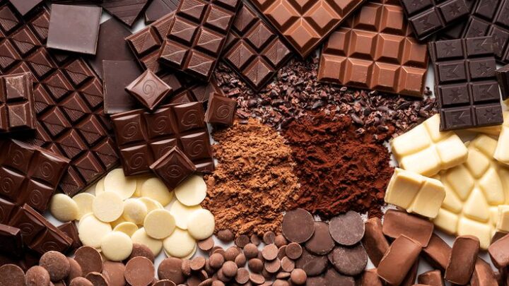Cokelat Swiss Belgia Dan Informasi Kursus Coklat Chocolatier Online