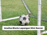 Analisa Bisnis Lapangan Mini Soccer